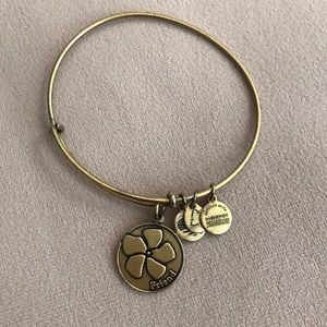 Alex and Ani Friendship Bracelet